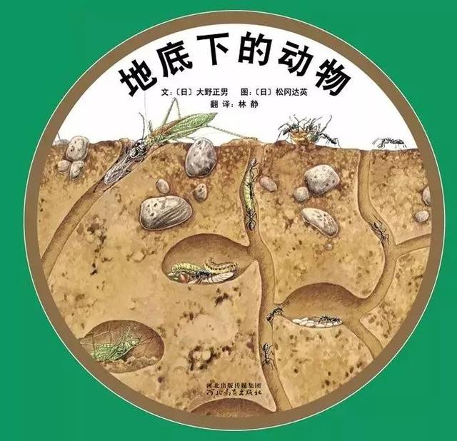 有声绘本地底下的动物真实呈现了地下表层土壤中的自然生态