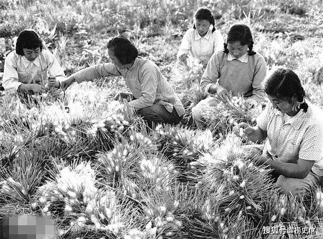 建国初期南京人生活,妇女在供销社买花布,社员在听矿石收音机