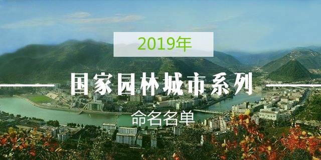 兵团2019各市gdp_广西各市gdp排名2019(2)