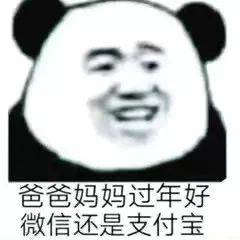 叔叔阿姨过年好 微信还是支付宝(熊猫头表情包)