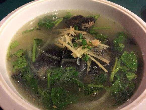 病毒肆虐谁该为野味蝙蝠汤负责摒弃中医糟粕已成当务之急
