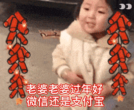 老婆老婆过年好,微信还是支付宝(萌娃罗熙拜年表情包)