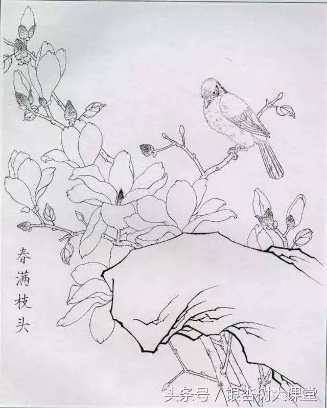 步骤一 :画一多一少两组花朵.赭墨点花萼,然后勾花瓣.