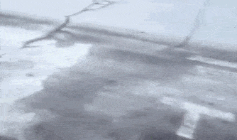 搞笑gif:妹子,不作就不会疼,挺尴尬吧