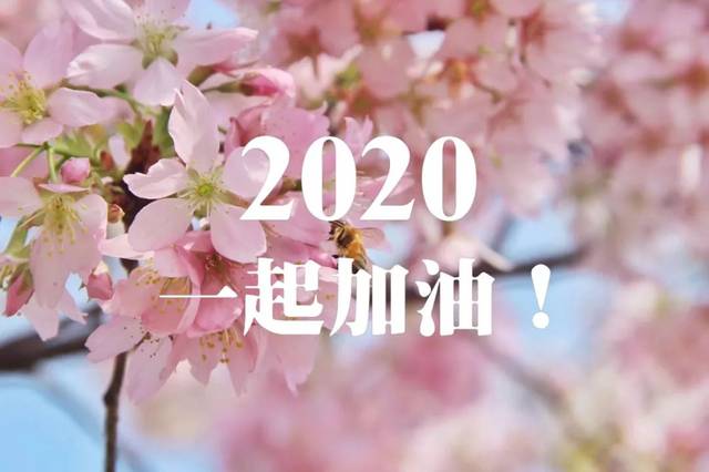 熬过寒冬,待春暖花开我们再相约去看海呐,别担心,都会