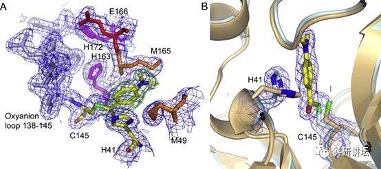 Nature关注:驰援武汉的德国病毒学教授Rolf Hil