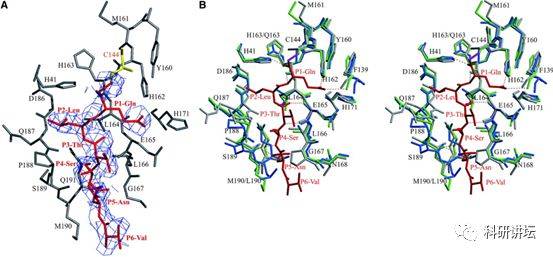 Nature关注:驰援武汉的德国病毒学教授Rolf Hil