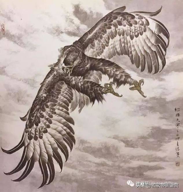 手把手教你画鹰方法,零基础也能画出展翅雄鹰