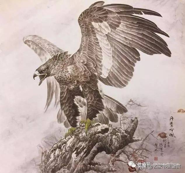 手把手教你画鹰方法,零基础也能画出展翅雄鹰