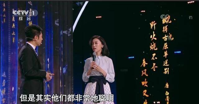 《经典咏流传》撒贝宁主持失误,女嘉宾冯家妹笑的花容失色!