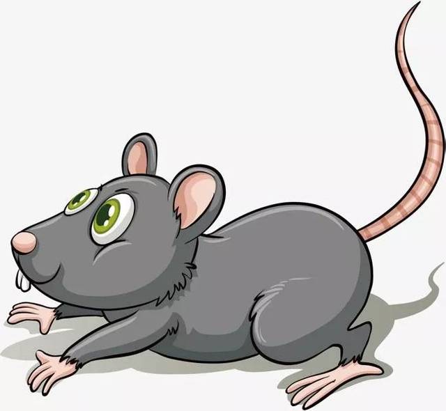 02 mouse和rat除了表示老鼠外,在英语中还有哪些意思呢?