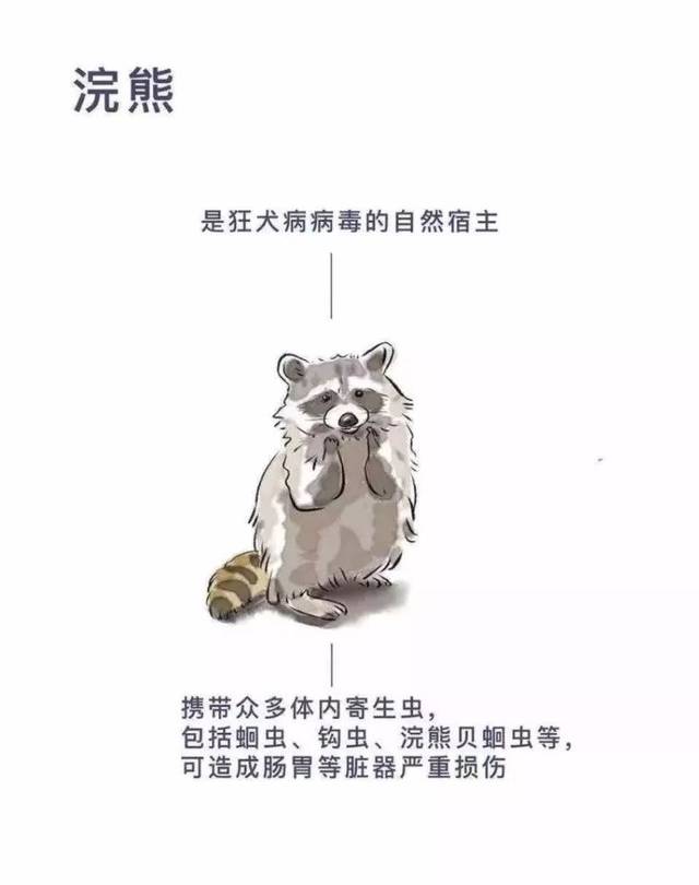 德宏森警提示:禁止猎杀,买卖,食用野生动物