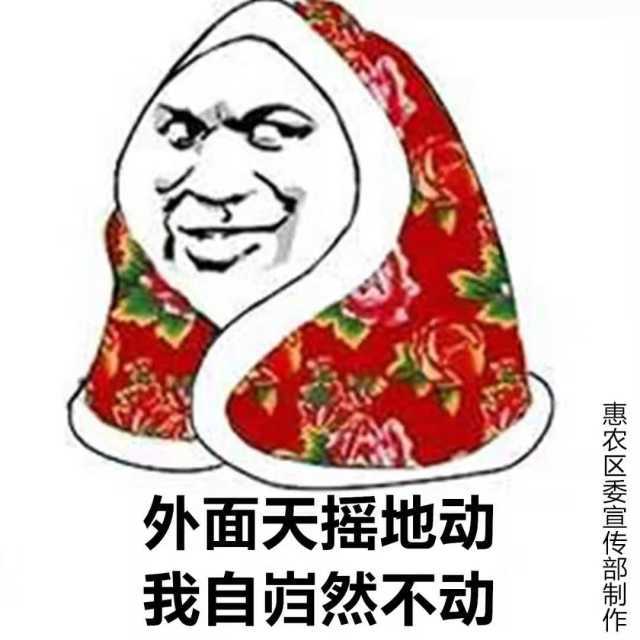 宁夏人 防疫表情包上线啦!喊你家里蹲,不传谣!