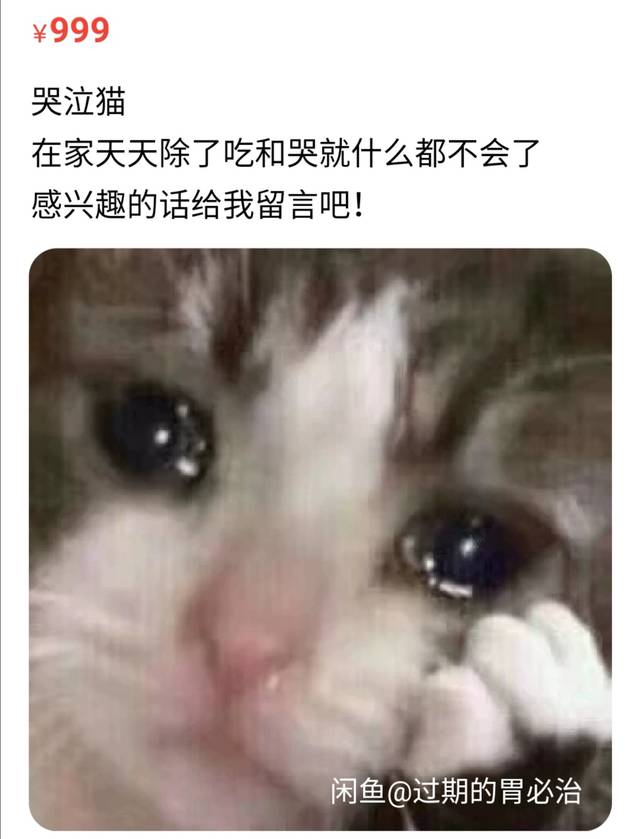 出售上古神兽,哭泣猫,隔壁老王:闲鱼上的都是人才哈哈