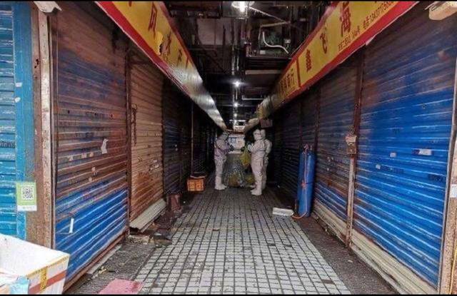 籩ǰĻϺг̬ұĬҳ飬Ůϰ34˾