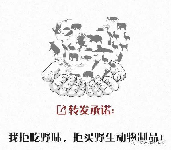 德宏森警提示:禁止猎杀,买卖,食用野生动物