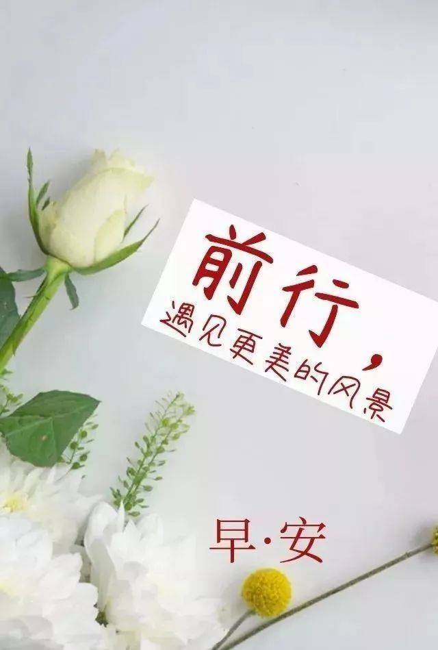 图片2020最新图片早安,早安图片2020新图片 2020早安正能量一句话最新 早安励志语录图片带字