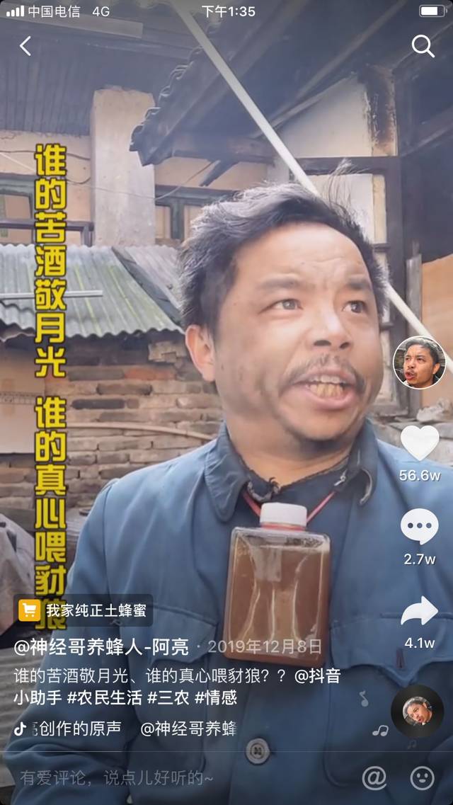 鲜衣怒马,"神经哥养蜂人" 的网红之路