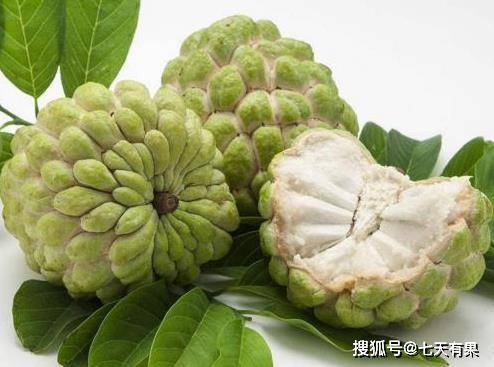 番荔枝(释迦果)的营养功效以及食用禁忌