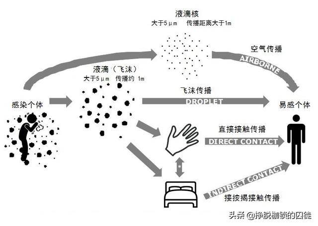 在公共场所戴口罩主要目标是预防飞沫传播.