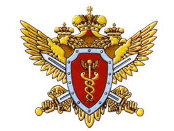 税务总局警察标志徽章.