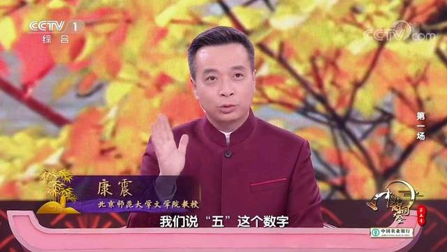 原创主持人不是董卿的《中国诗词大会,点评嘉宾康震老师的笑容都少