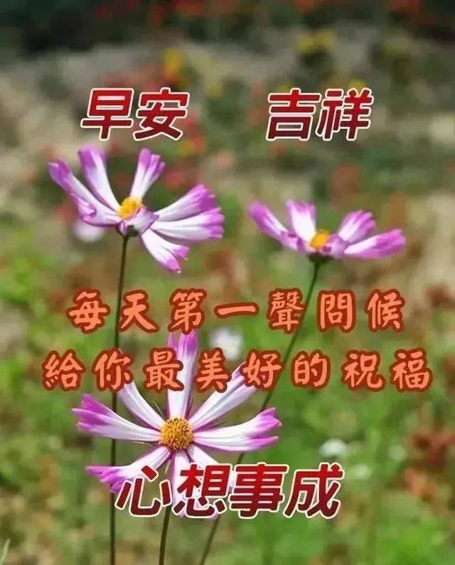 大年初六群发早上好问候祝福动态表情图片 鼠年最美早晨好问候表情