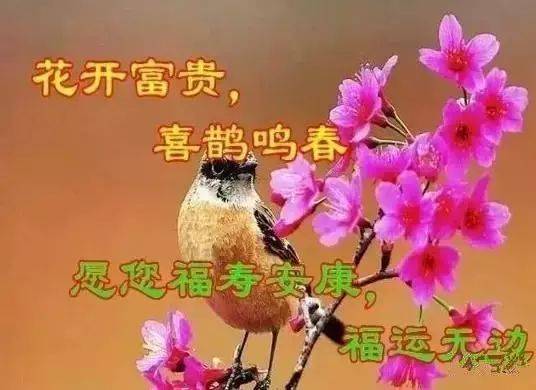 大年初六,六六大顺,不管你身在何方,收到这份祝福,你就是最有福的!