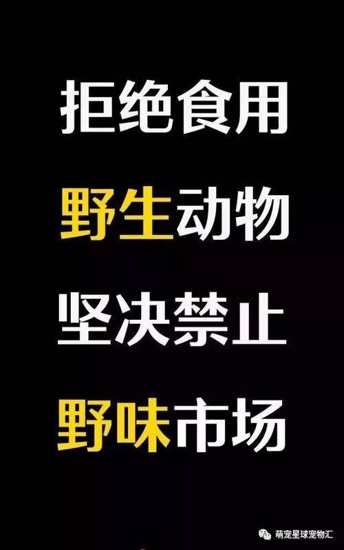 拒绝野味,从我做起!