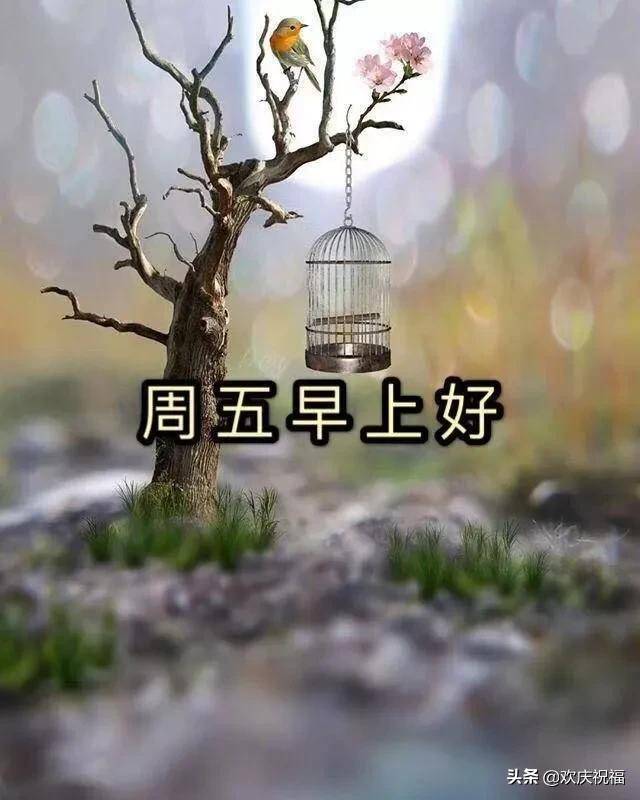 正月初七早上好祝福朋友的暖心语句,2020最新早安祝福