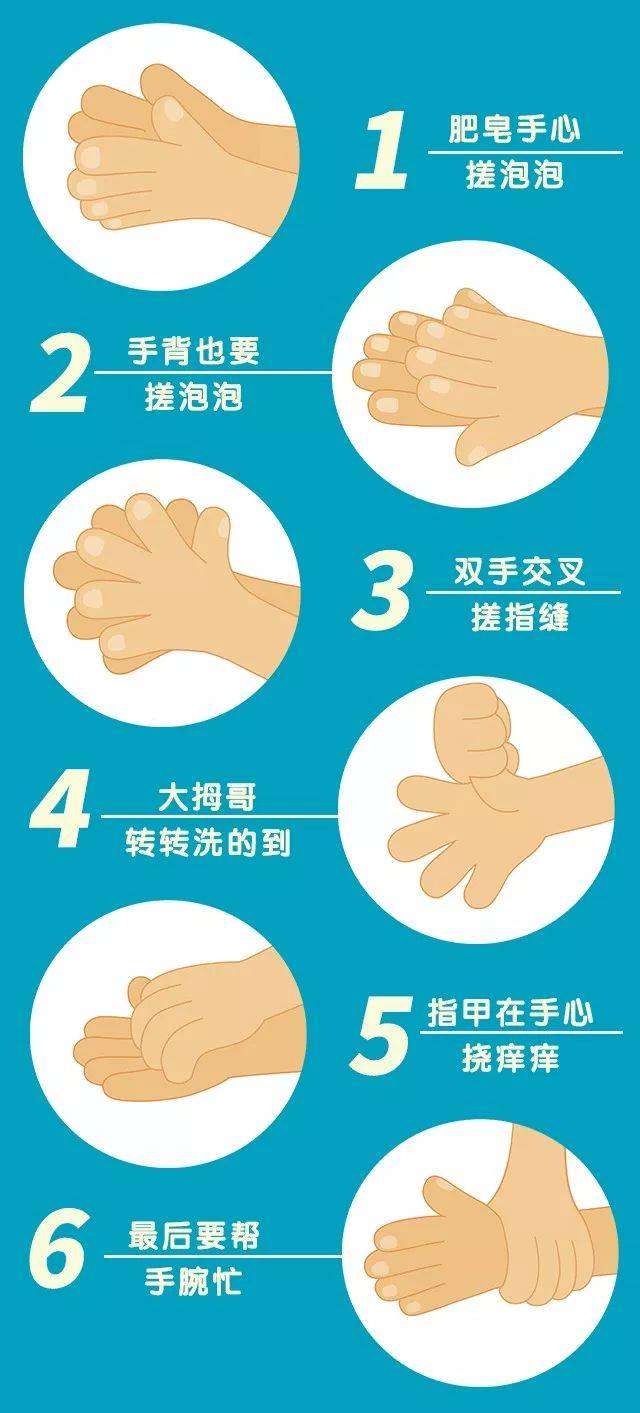 正确的洗手方法—— 六步洗手法