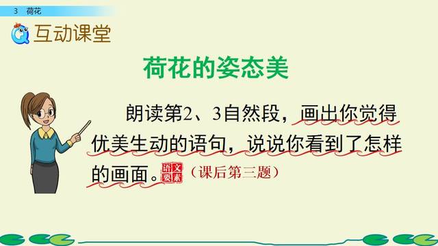 部编版语文三年级下册第3课《荷花》图文讲解 知识点梳理