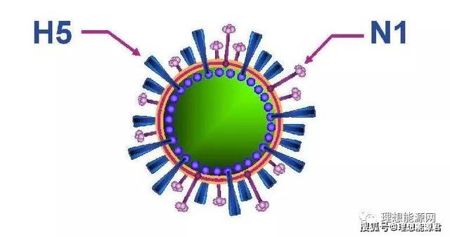 湖南发生"h5n1亚型高致病性禽流感"疫情!