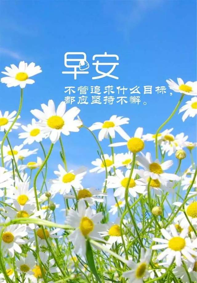 正月初八早上发朋友圈激励人心的好句子