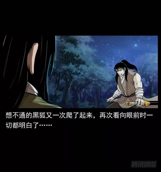 仙山传奇之第一阵 黑狐