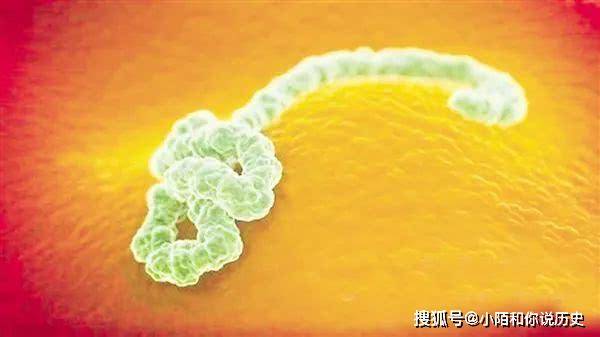 人类历史上最可怕的五种病毒,迄今为止只有一