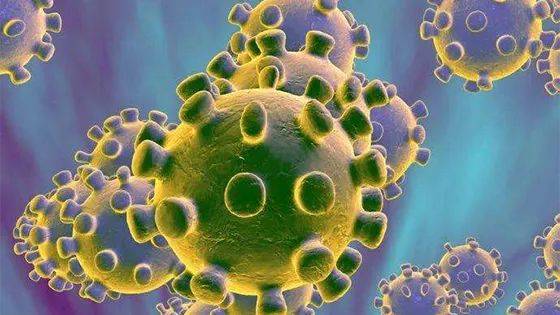 应知应会!2020年新型冠状病毒防治全国统一考试