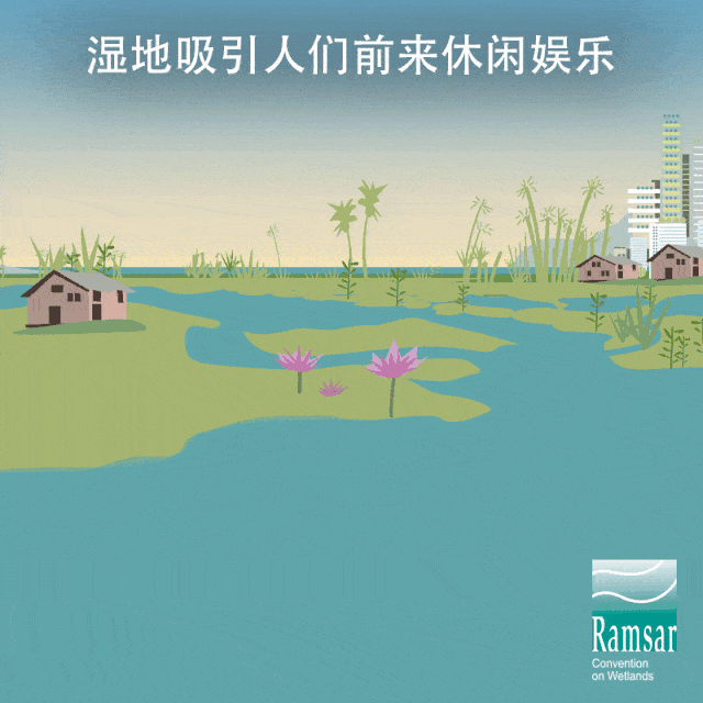 7,湿地每年提供价值47万亿美元的生态系统服务,比森林,沙漠或草原提供