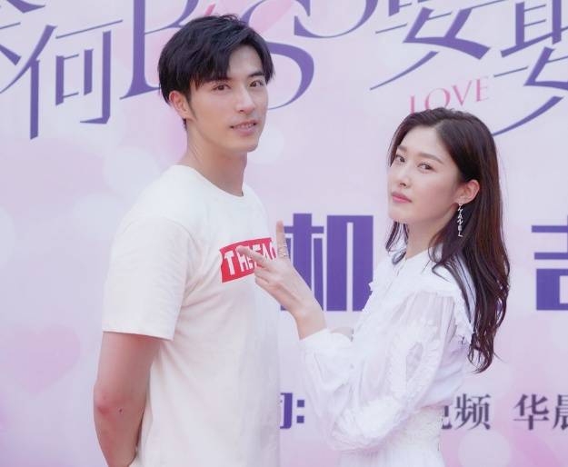 奈何boss要娶我第一季,奈何boss要娶我凌异洲 《奈何boss要娶我2》在线观看免费版(全1-20集全)网盘