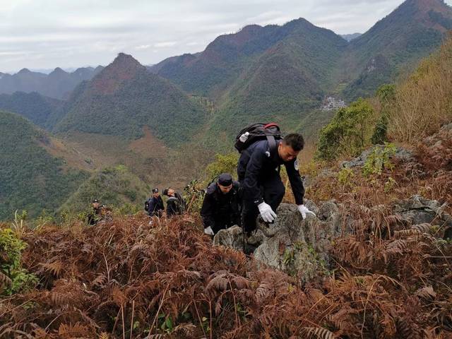 致2人死亡的西林"1·7"命案犯罪嫌疑人,在隆林克长乡一悬崖上自杀身亡