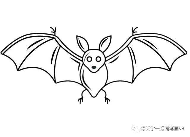 每天学一幅简笔画--恐怖的红眼蝙蝠简笔画画法步骤图片