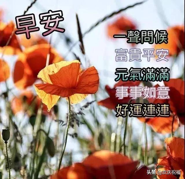 658早上好祝福图片下载,吉祥早安最新图片大全 2月2日最新早上好祝福动态图片,特漂亮早上好表情动态