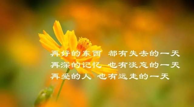 2020非常霸气又伤感的短句子!