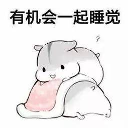 睡觉表情包!这就是春节放假在家的我