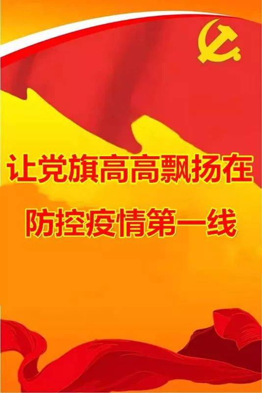 让党旗高高飘扬在防控疫情第一线——专题报道(四)