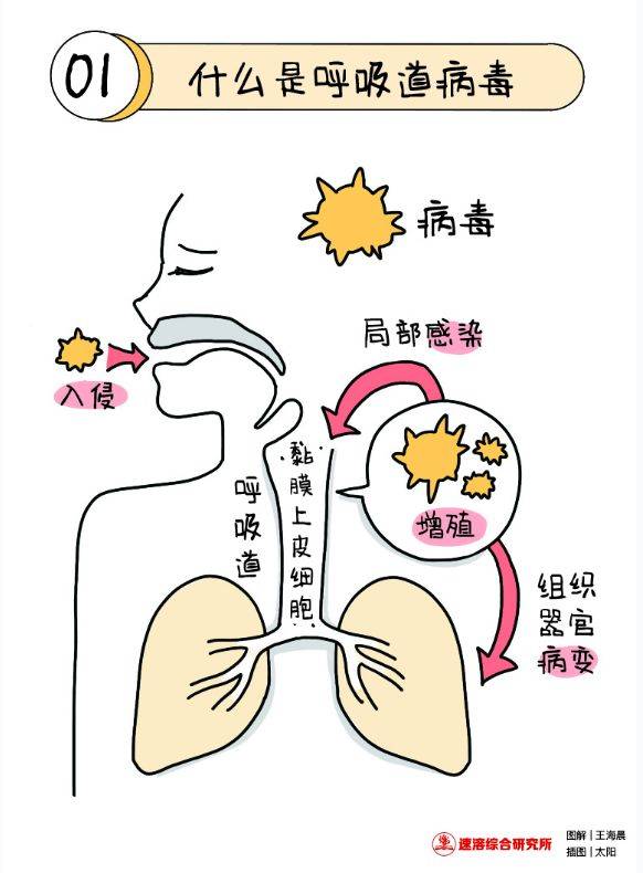 什么是呼吸道病毒?