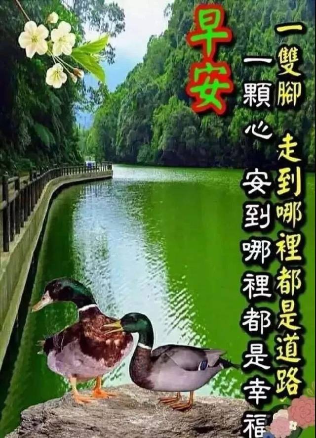 大年初十群发早上好问候祝福动态表情图片 鼠年最美早晨好问候表情