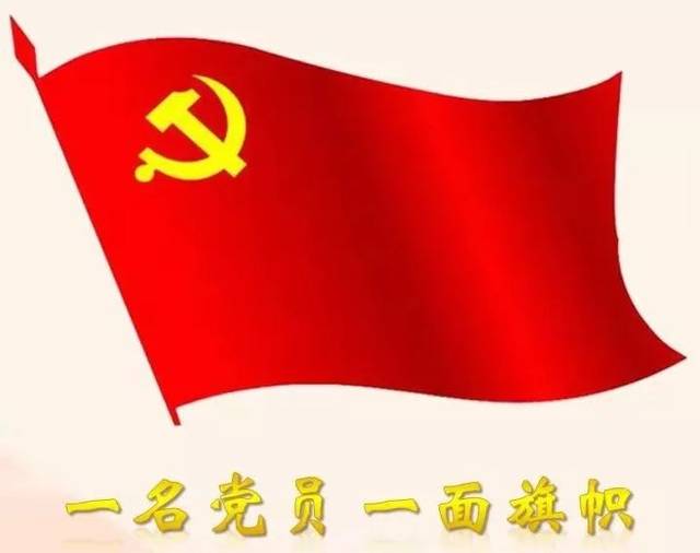 一名党员一面旗帜我是党员我在战疫一线