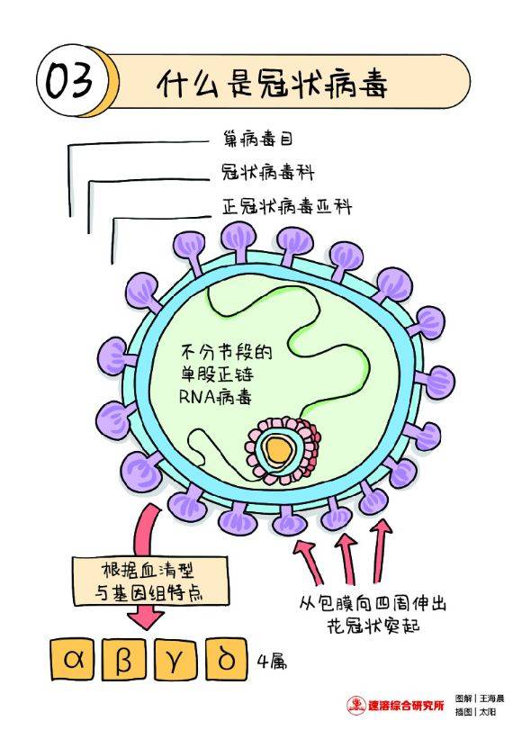 《新型冠状病毒肺炎预防手册》(图解学生版)第一章《认识冠状病毒》