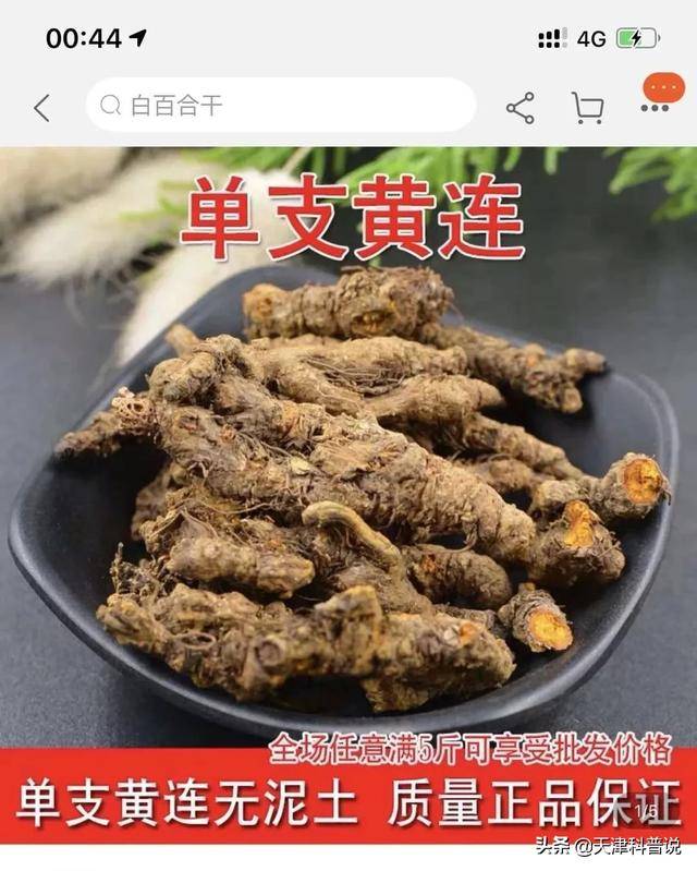 单支黄连,买两支就是双黄连 双黄连口服液冠状病毒双黄网友